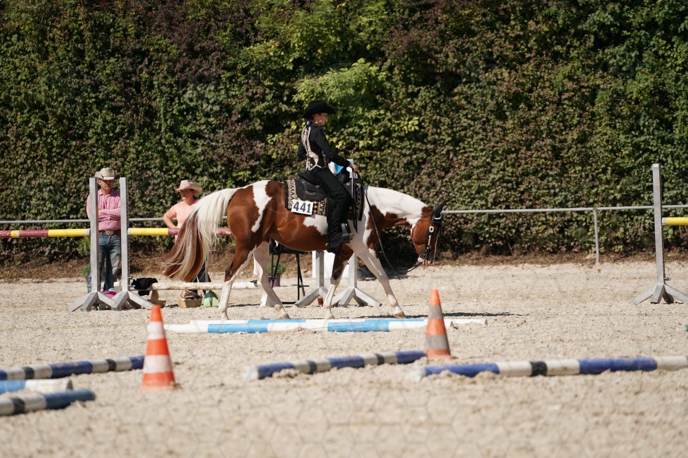 s_A_908039.JPG